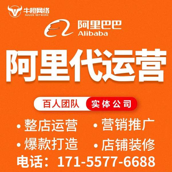 乳山电商代运营