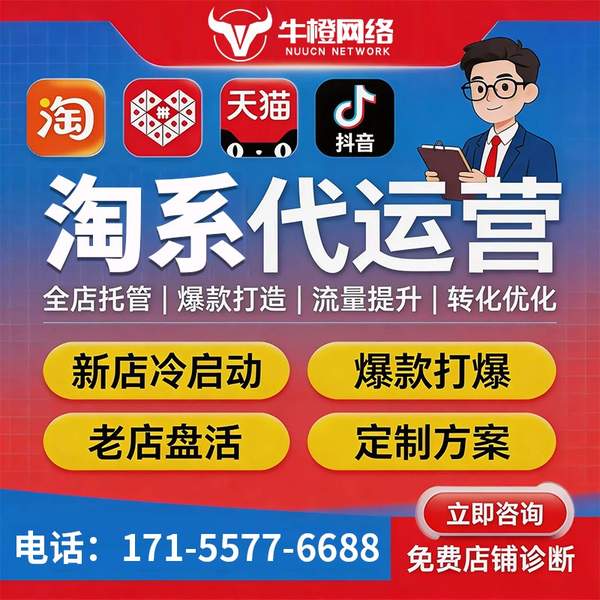 乳山电商代运营
