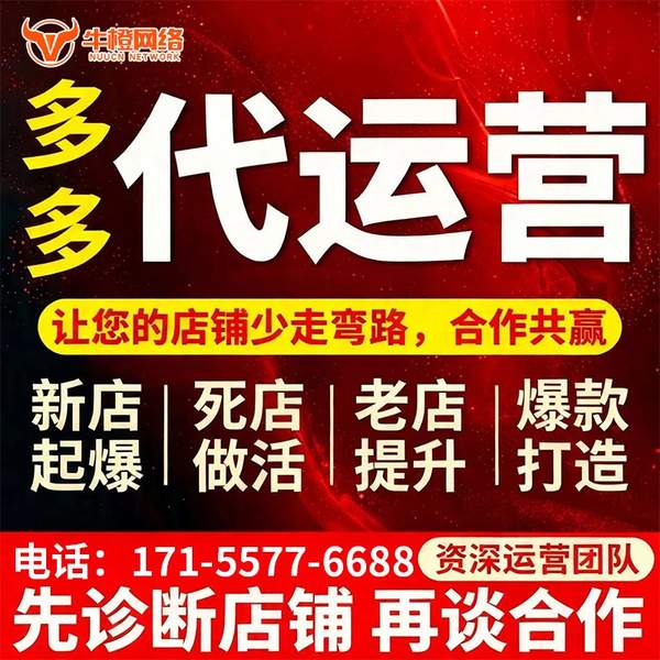 乳山电商代运营