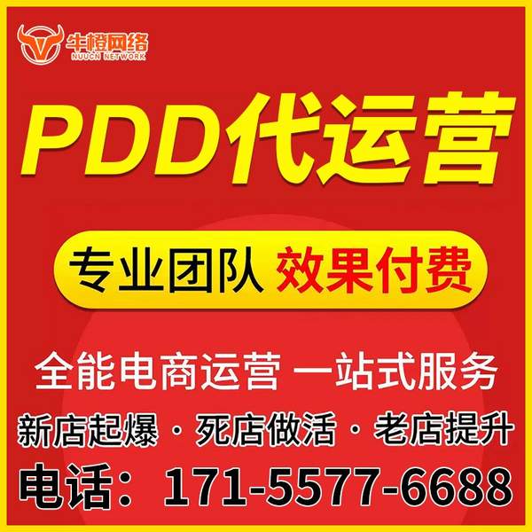 乳山电商代运营