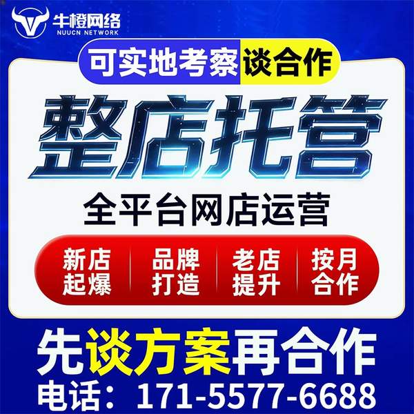 乳山电商代运营