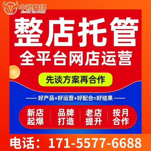 乳山电商代运营