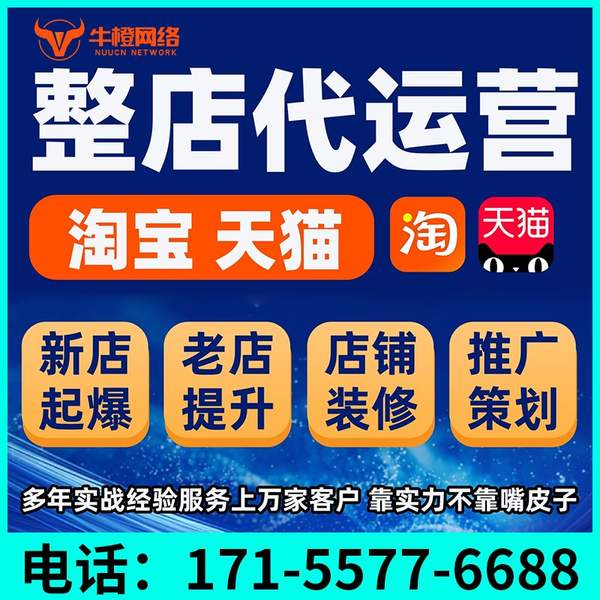 乳山电商代运营