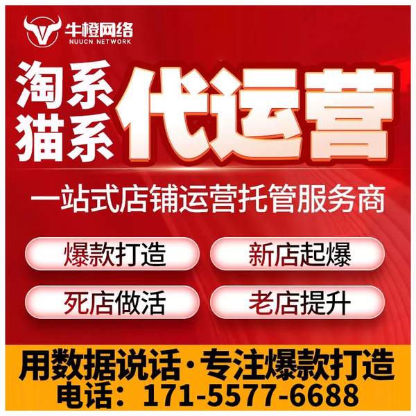 乳山电商代运营